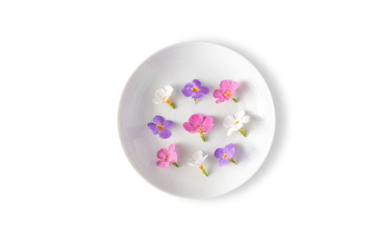 Micro Princess Flowers