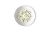 Micro White Pepper Flowers