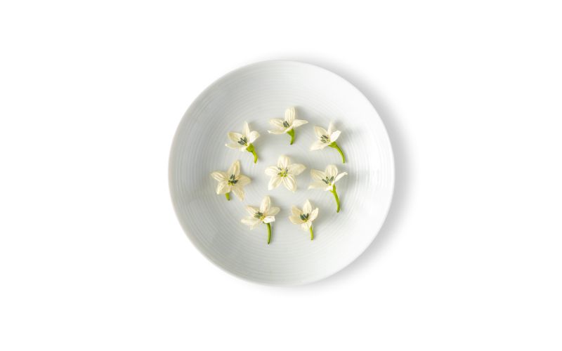 Micro White Pepper Flowers