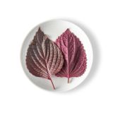 Red Shiso Leaves