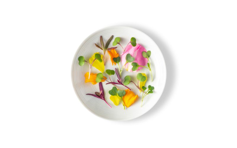 Micro Chef Blend