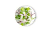 Mirepoix Microgreen Mix