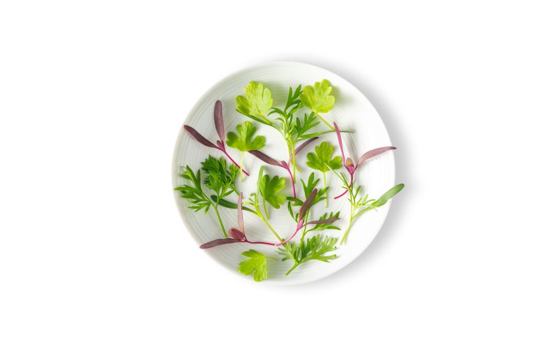 Mirepoix Microgreen Mix