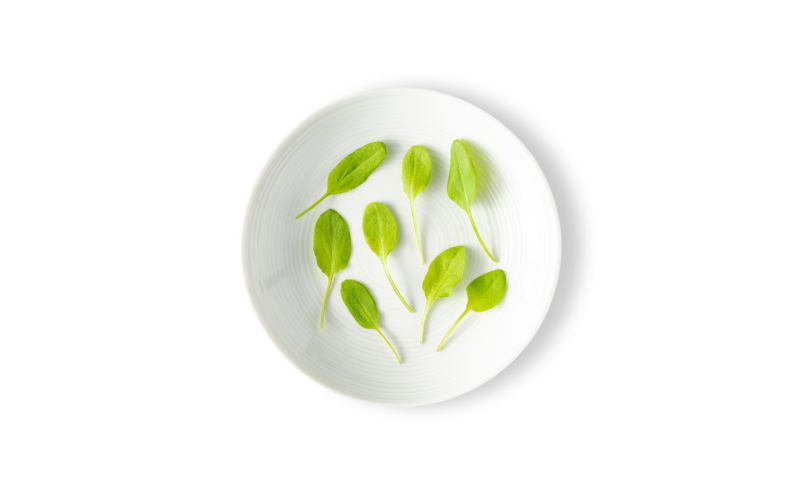 Micro Sorrel
