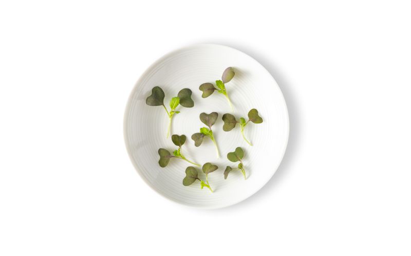 Micro Red Mustard Greens