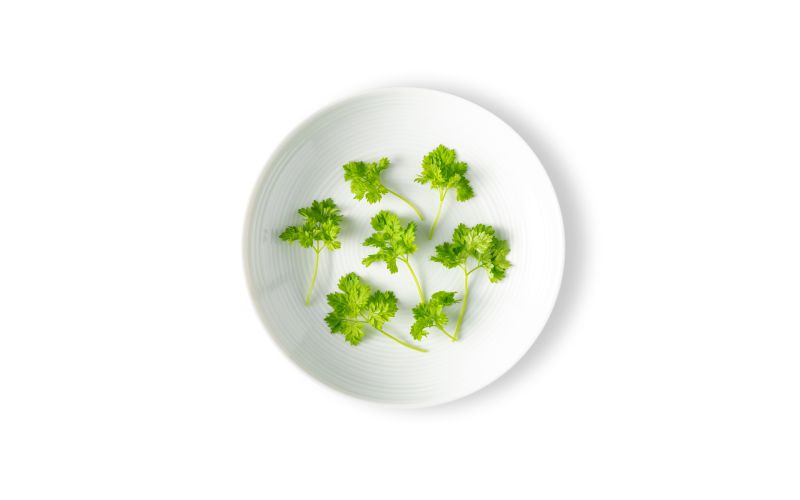 Micro Chervil