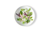 Citrus Mix