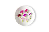 Micro Dianthus