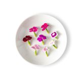 Micro Dianthus
