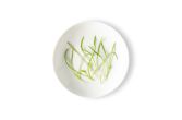 Micro Fennel