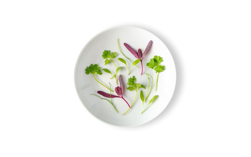 Micro Fines Herbs