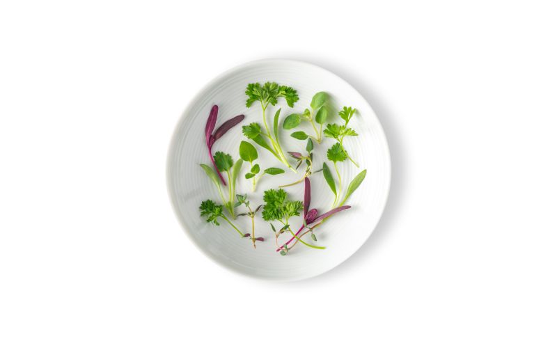 Micro Herbs