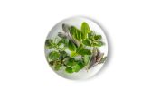 Herbs Top Mix