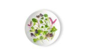 Micro Intensity Mix
