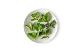 Micro Mint Tops