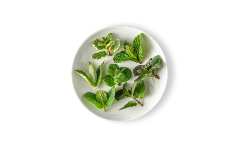 Micro Mint Tops