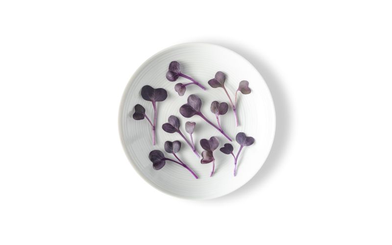 Radish Ruby Mix