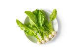 Tiny White Turnips