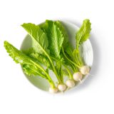 Tiny White Turnips