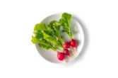 Tiny Radishes