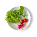 Tiny Radishes