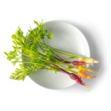 Tiny Mixed Carrots