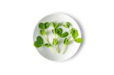 Petite Pea Greens