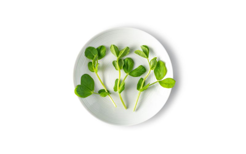 Petite Pea Greens