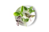 Petite Basil Mix
