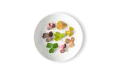 Petite Meadow Sorrel Mix