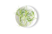 Petite Sea Grass