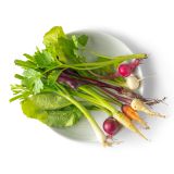 Tiny Crudite Mix