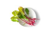 Tiny Veggies Red Turnip