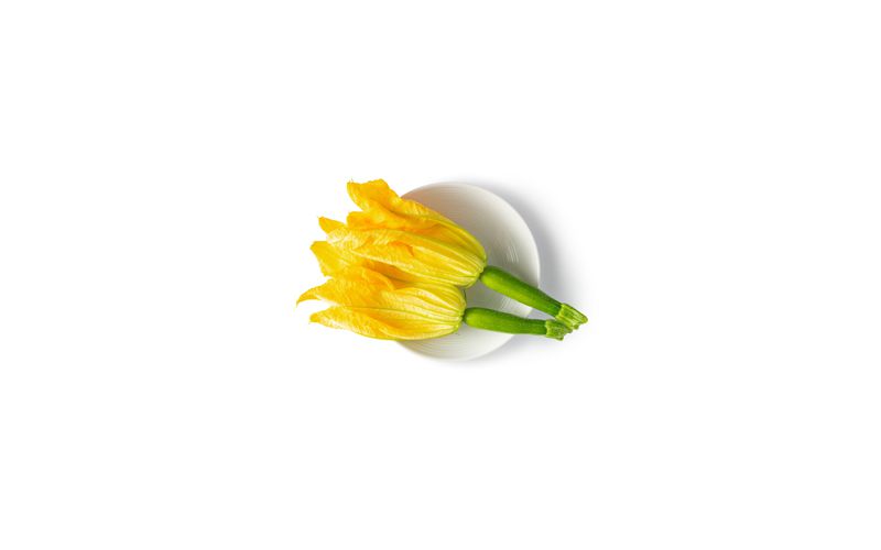 Zucchini with Flower
