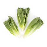 Andy Boy Romaine Hearts
