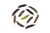 Organic Purple Snow Peas