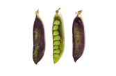 Organic Purple Snow Peas
