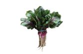 Red Veined Spinach