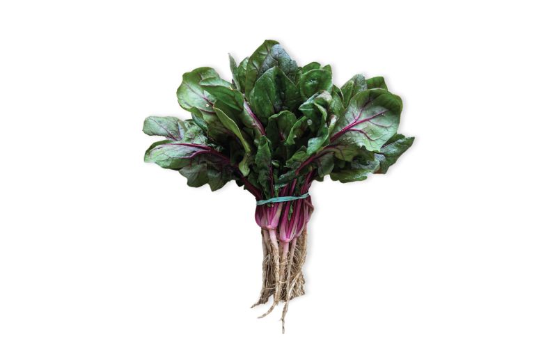Red Veined Spinach