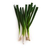 Organic Row 7 Sweet Garleek