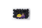 Limited Edition Sweetest Batch Blackberries