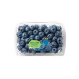Limited Edition Sweetest Batch Jumbo Blueberries
