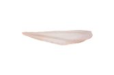 Skin On Pinbone Out Wild Atlantic Hake Filet