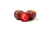 Samba Red Plumcots
