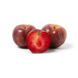 Samba Red Plumcots