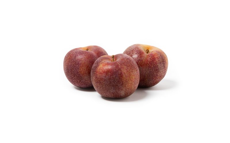 Samba Red Plumcots
