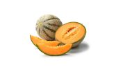 Sicilian Pixelato Supremo Cantaloupe