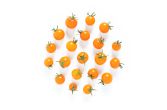 Sungold Tomatoes