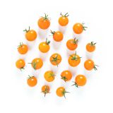 Sungold Tomatoes
