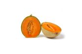 Sicilian Pixelato Supremo Cantaloupe